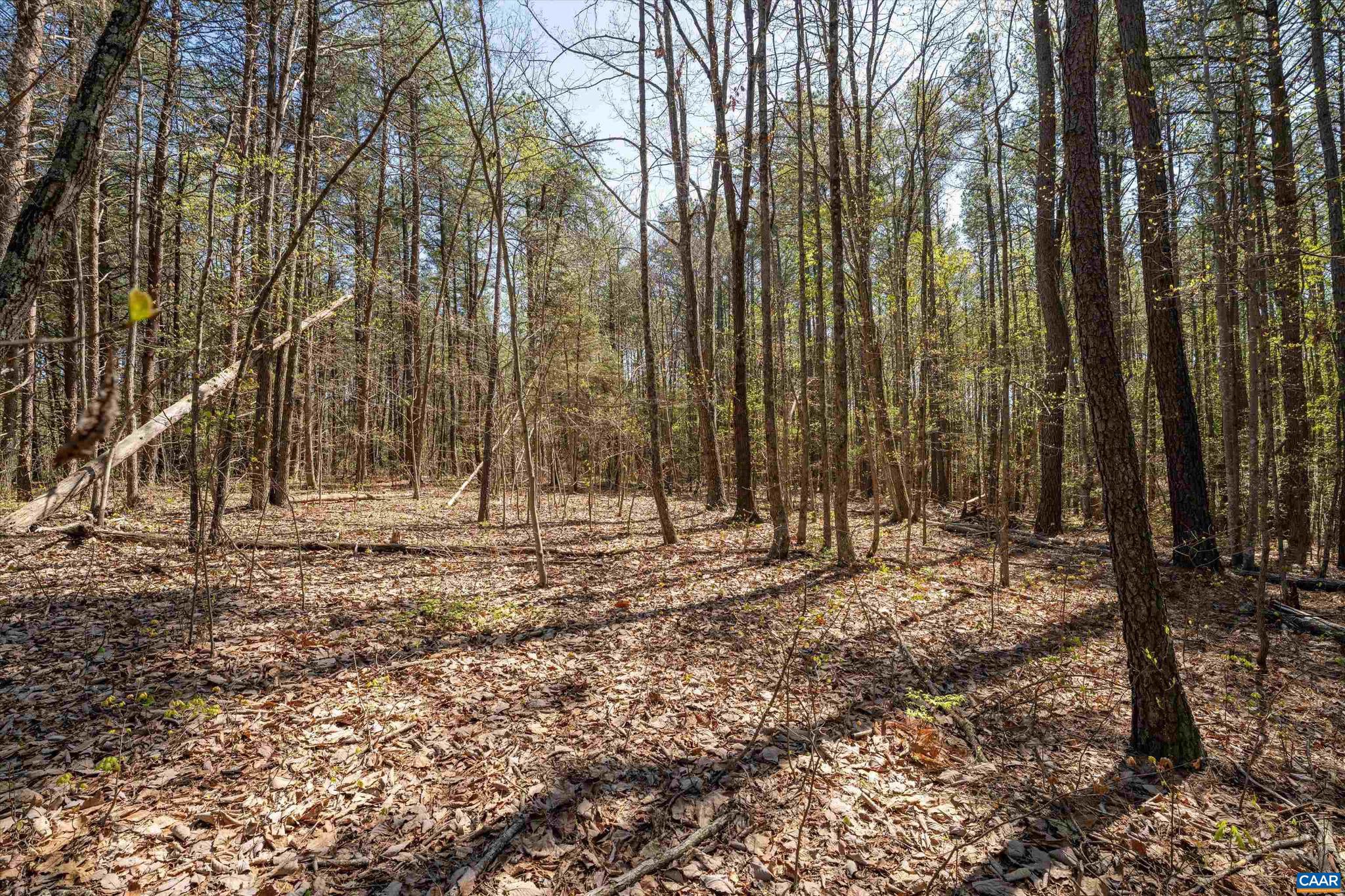 Lot 27 Martin Kings Road, Unit 7600 Charlottesville, VA 22902 - Photo 27 of 45