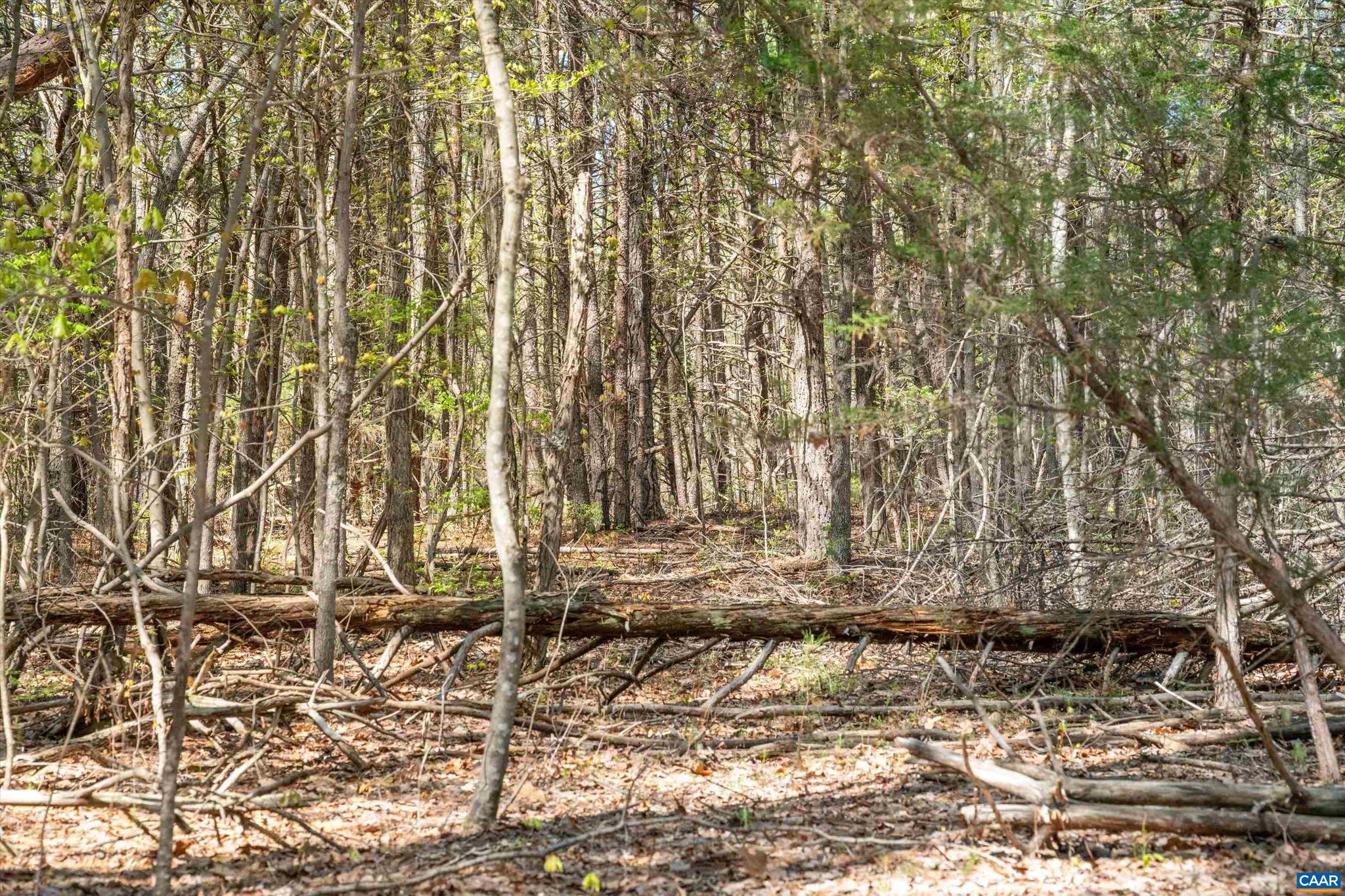 Lot 27 Martin Kings Road, Unit 7600 Charlottesville, VA 22902 - Photo 35 of 45