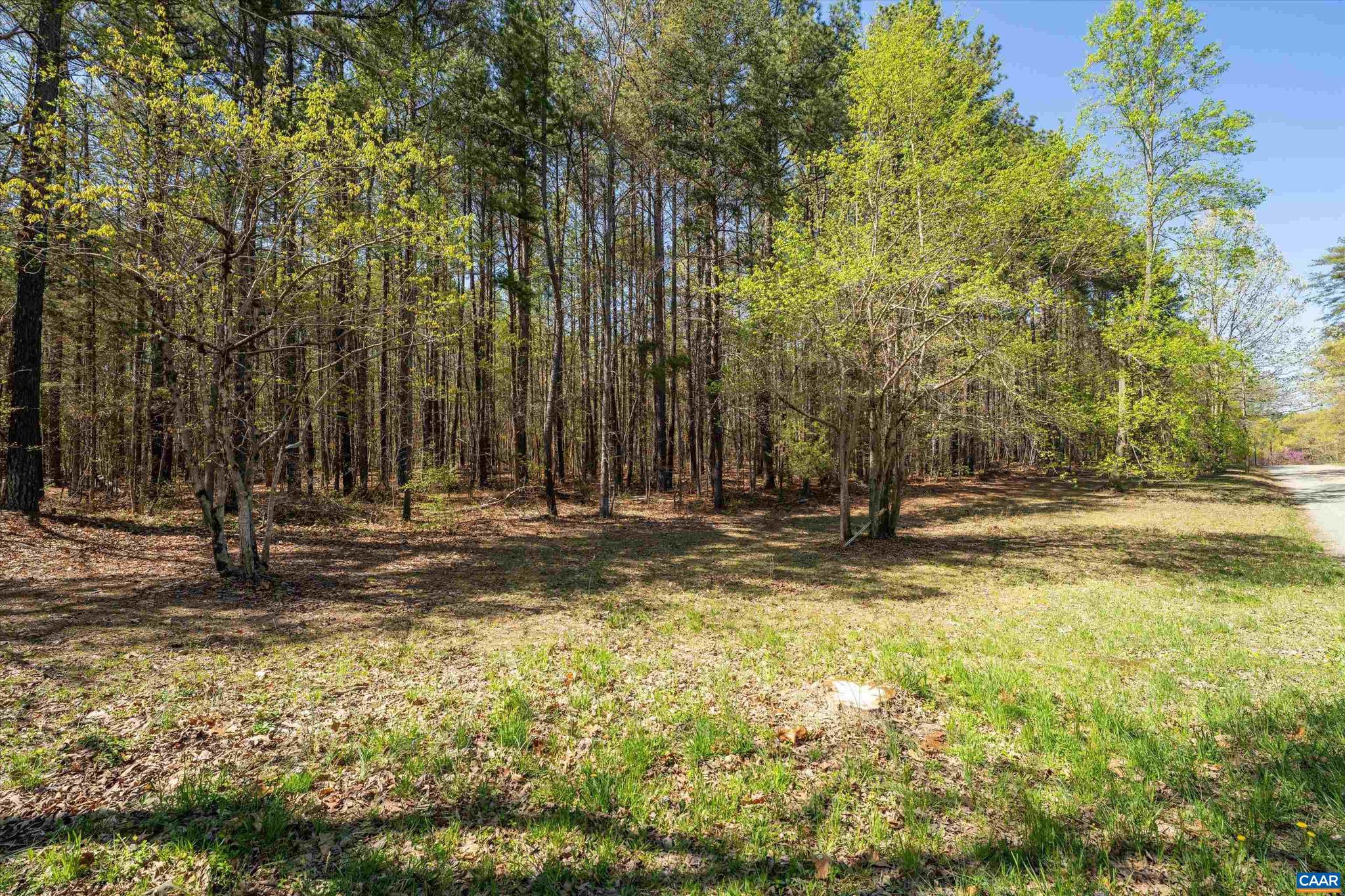 Lot 27 Martin Kings Road, Unit 7600 Charlottesville, VA 22902 - Photo 8 of 45