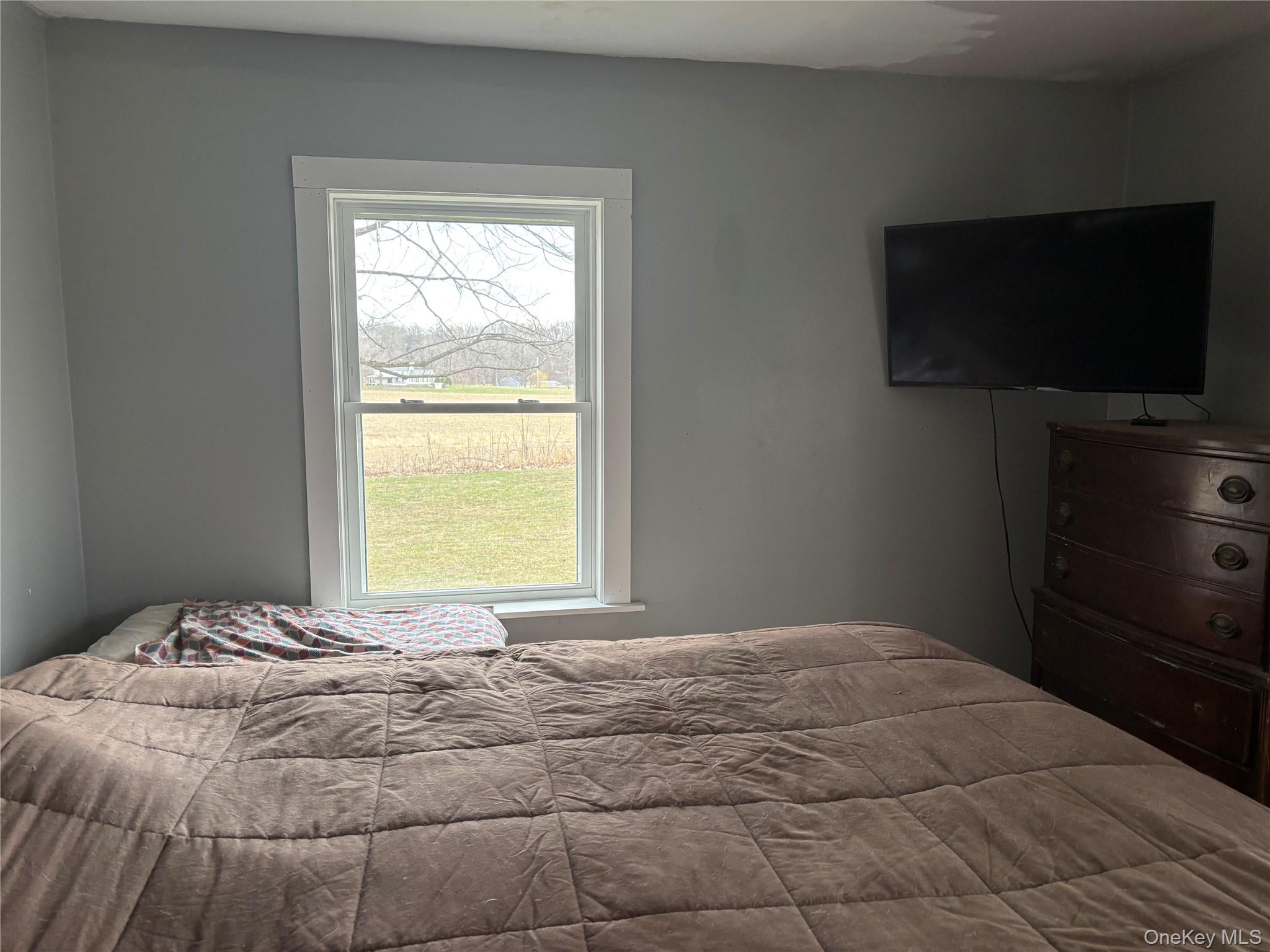 239 Rokeby Road Red Hook, NY 12572 - Photo 11 of 25 a bedroom with a bed and a flat screen tv