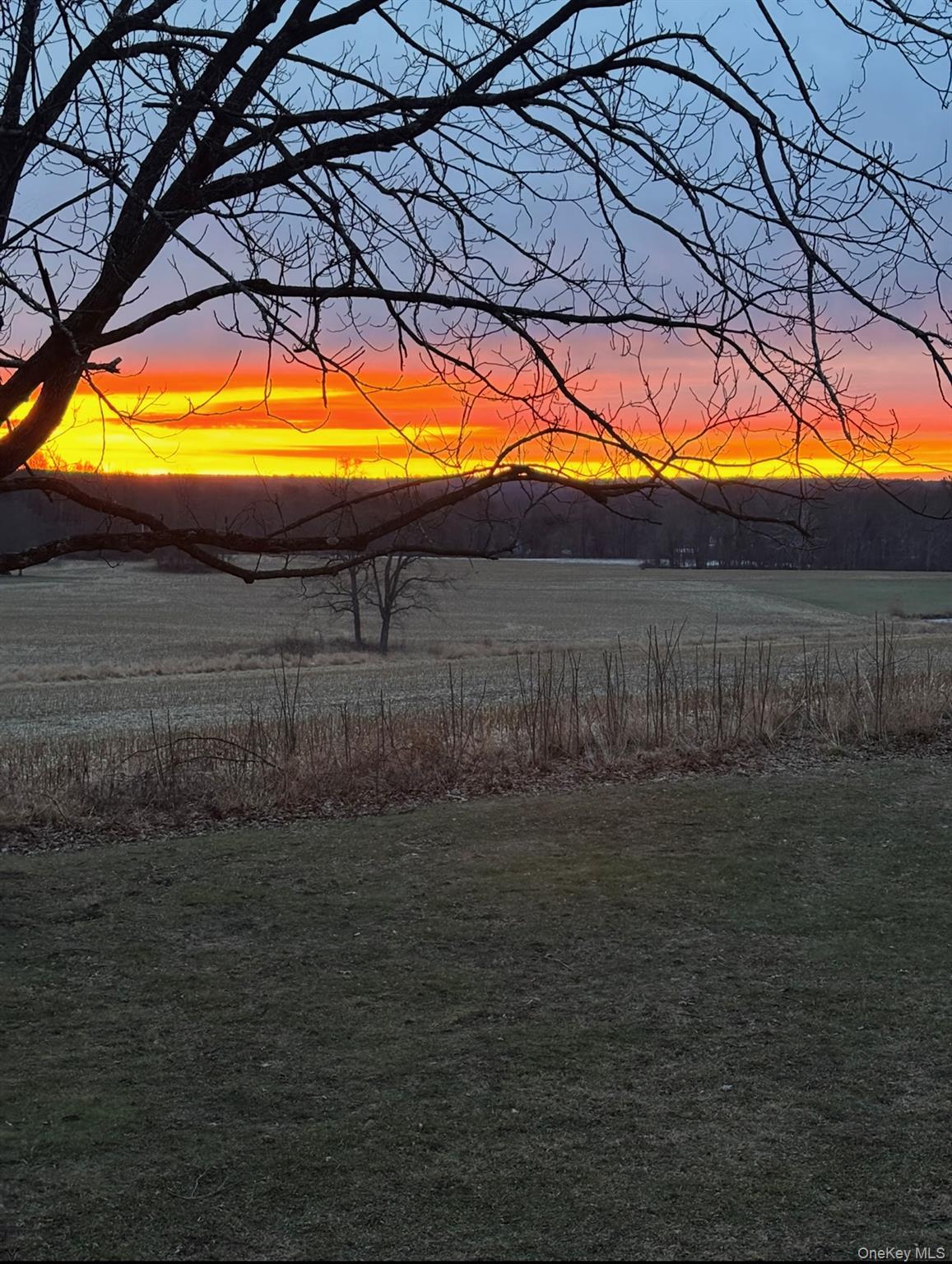 239 Rokeby Road Red Hook, NY 12572 - Photo 25 of 25 a view of swimming pool with an outdoor space and seating