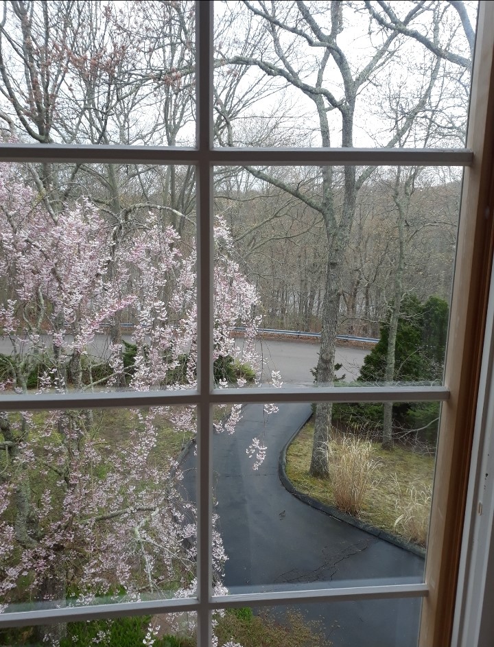 44 Rockridge Road Westerly, RI 02891 - Photo 15 of 41