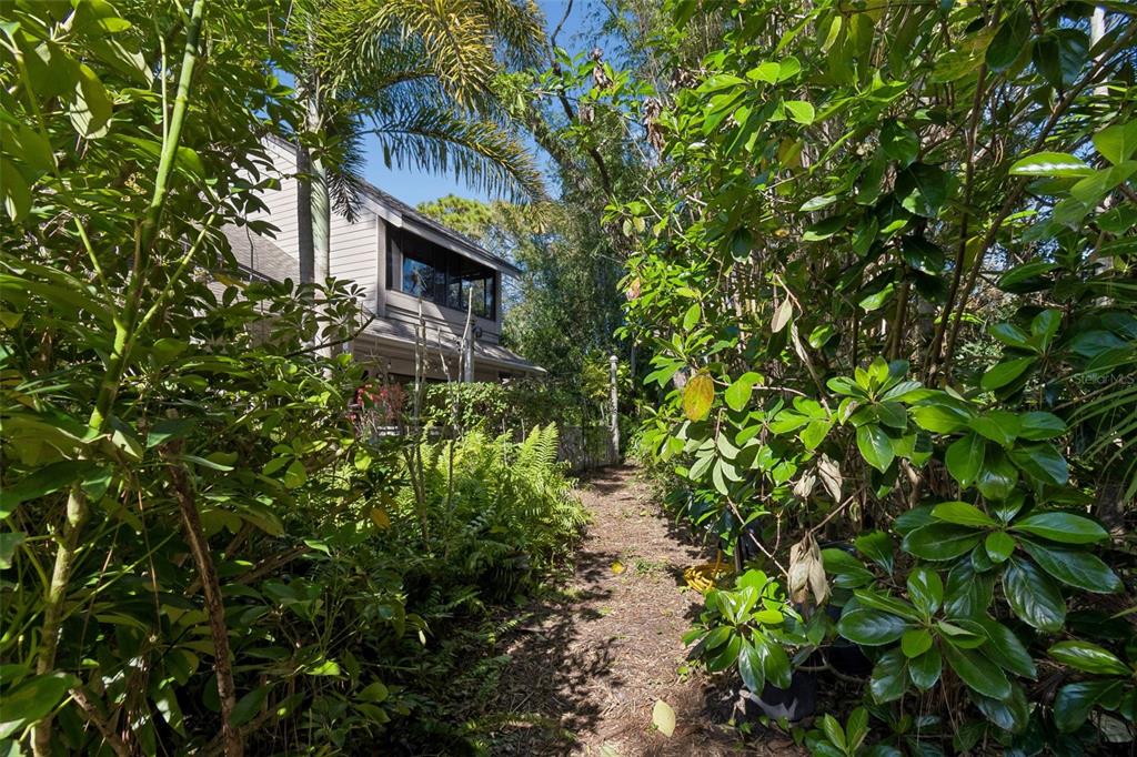 401 Old Mill Pond Road Palm Harbor, FL 34683 - Photo 37 of 75