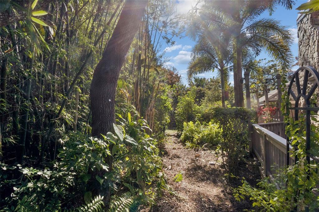 401 Old Mill Pond Road Palm Harbor, FL 34683 - Photo 64 of 75