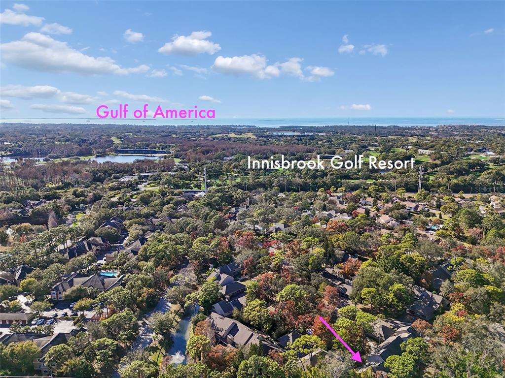 401 Old Mill Pond Road Palm Harbor, FL 34683 - Photo 66 of 75