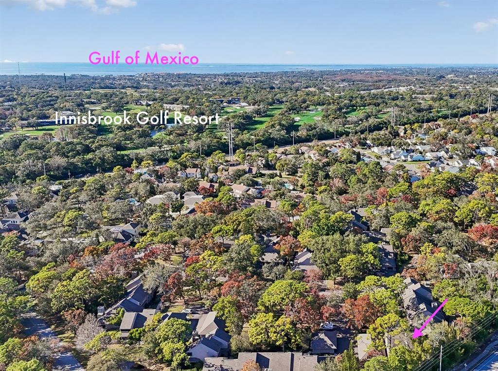 401 Old Mill Pond Road Palm Harbor, FL 34683 - Photo 67 of 75