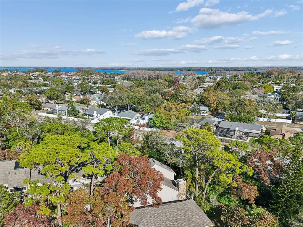 401 Old Mill Pond Road Palm Harbor, FL 34683 - Photo 68 of 75