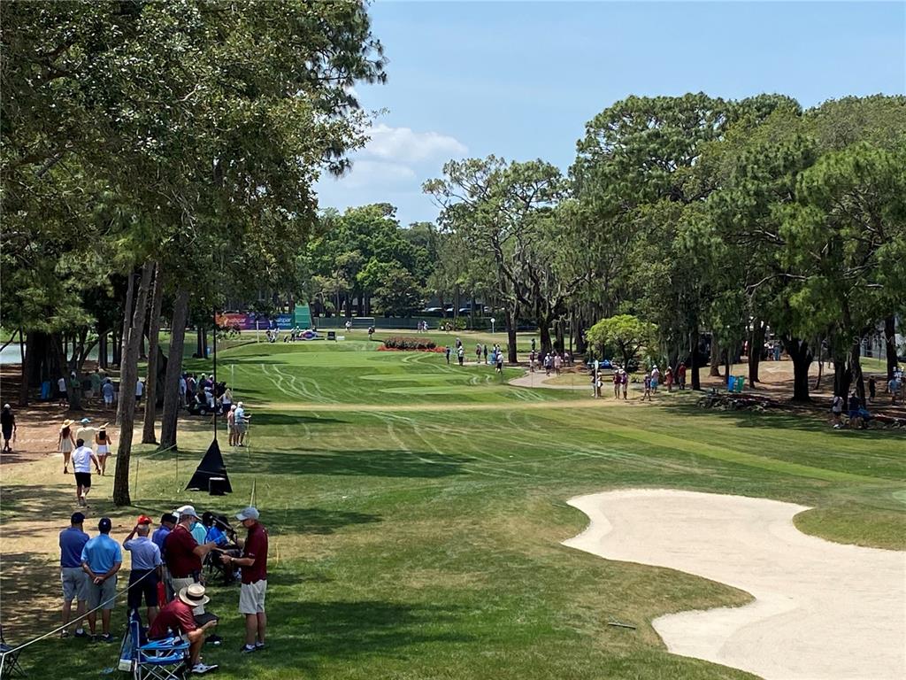 401 Old Mill Pond Road Palm Harbor, FL 34683 - Photo 74 of 75