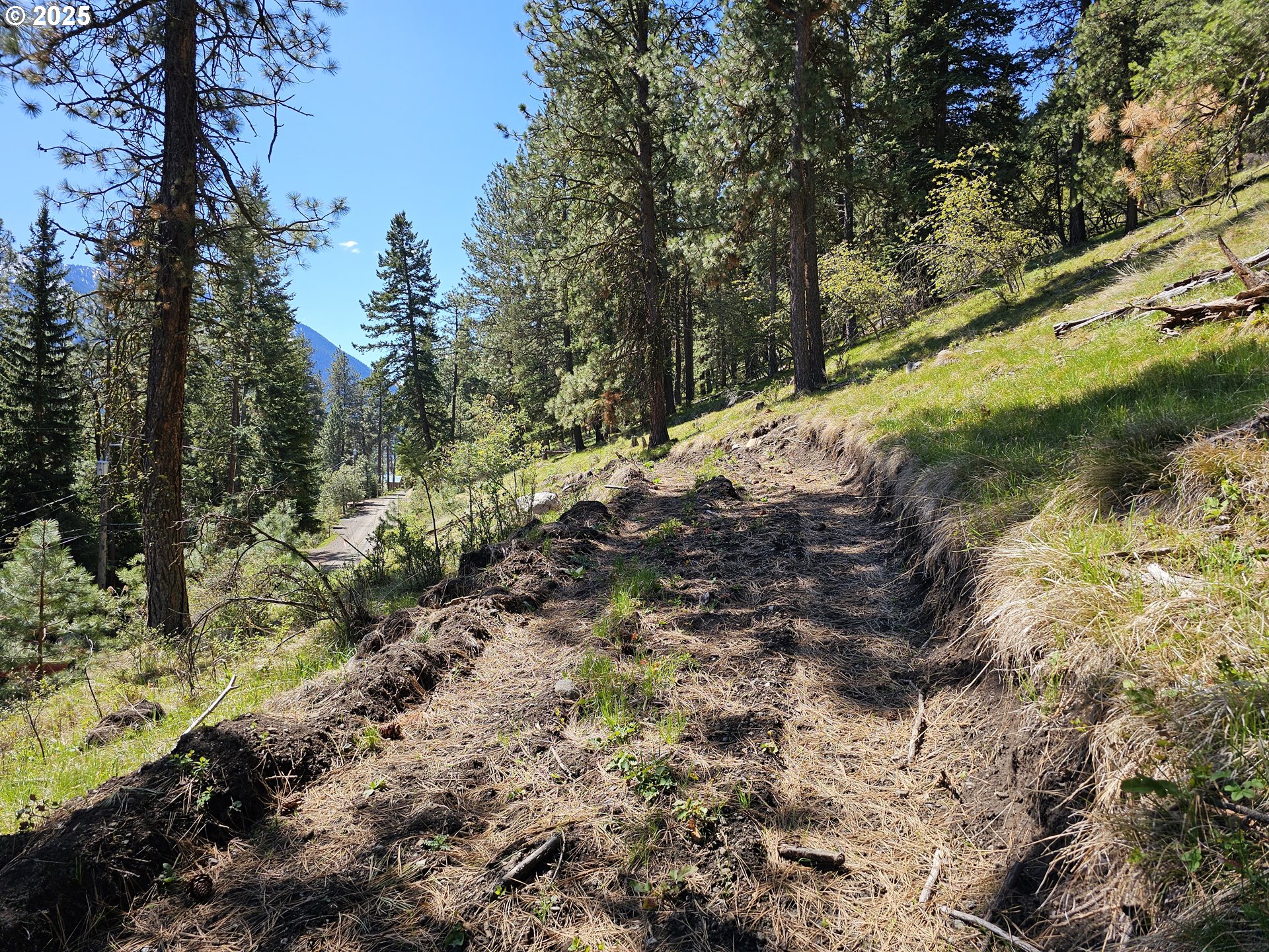 Lake Shore Road Joseph, OR 97846 - Photo 16 of 16