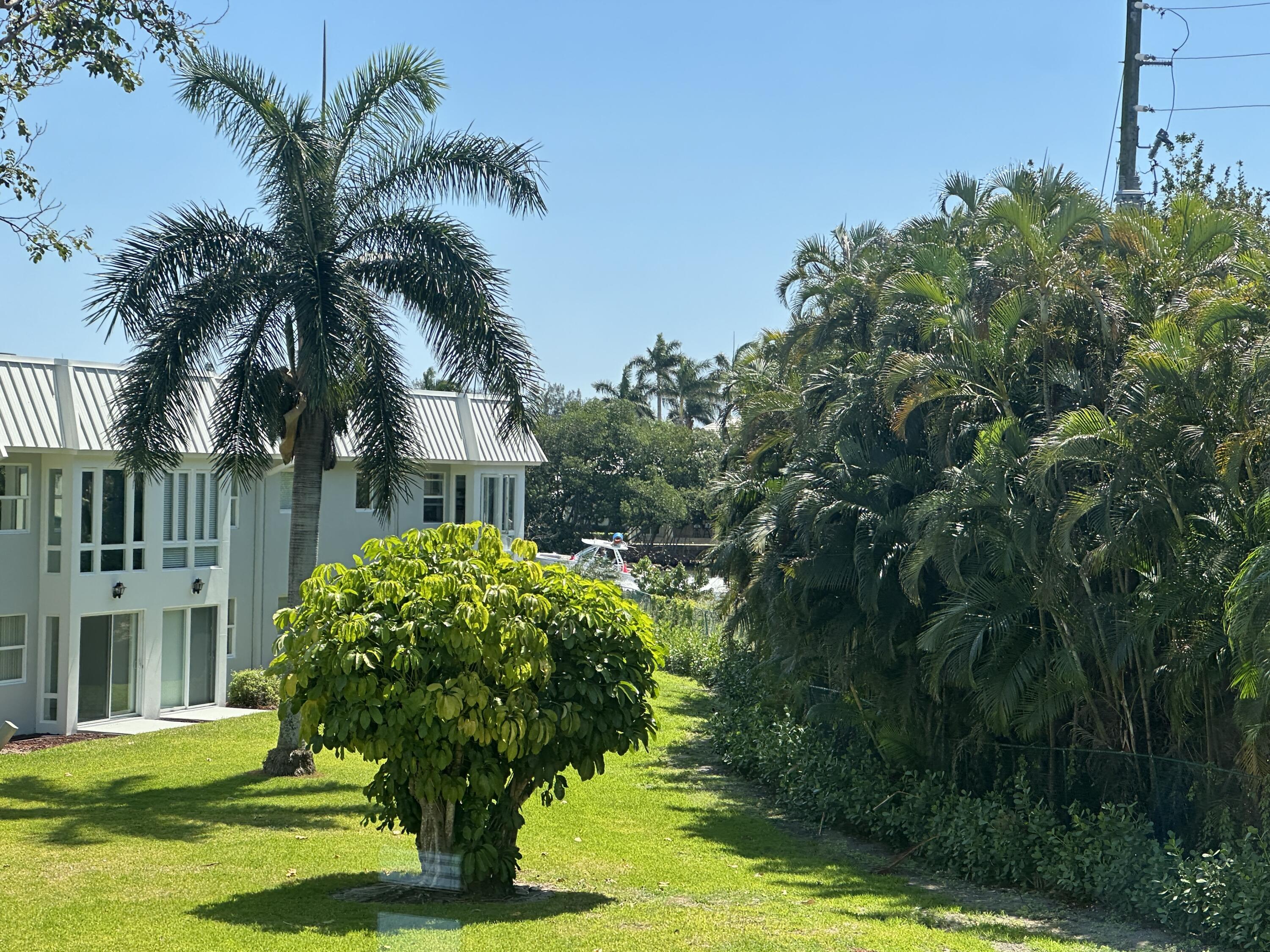33 Colonial Club Drive, Unit 203 Boynton Beach, FL 33435 - Photo 24 of 61 a garden with palm trees