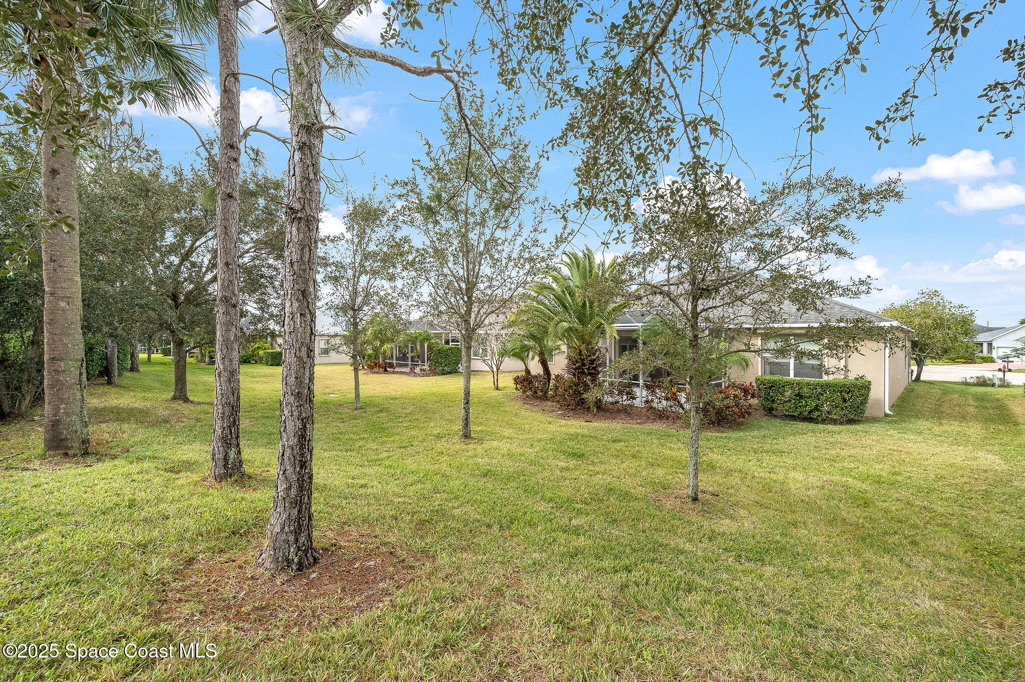 6531 Ingalls Street Melbourne, FL 32940 - Photo 35 of 46 a view of a trees in a yard