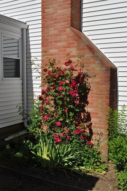 24 Chipman Road Beverly, MA 01915 - Photo 3 of 42 Gallery Image 3