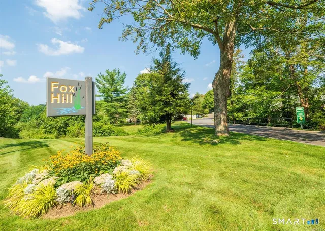 a view of a trees with yard