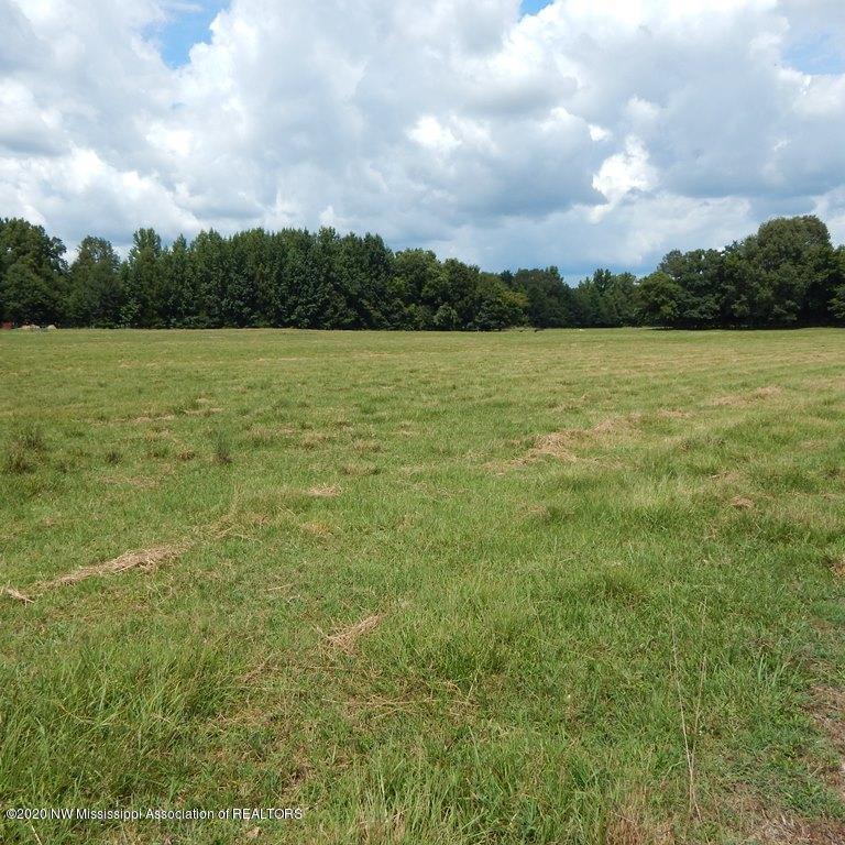 900 New Garden Road Coldwater, MS 38618 - Photo 1 of 40 Gallery Image 1
