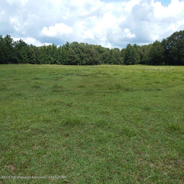 900 New Garden Road Coldwater, MS 38618 - Photo 11 of 40 Gallery Image 11