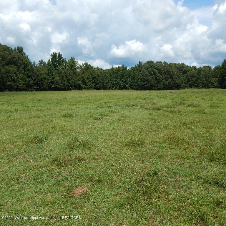 900 New Garden Road Coldwater, MS 38618 - Photo 14 of 40 Gallery Image 14