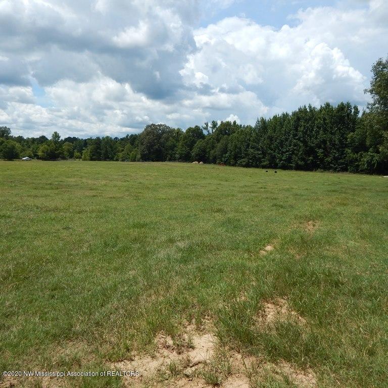 900 New Garden Road Coldwater, MS 38618 - Photo 15 of 40 Gallery Image 15