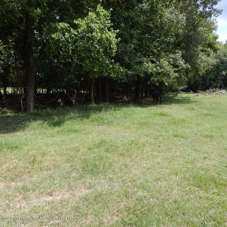 900 New Garden Road Coldwater, MS 38618 - Photo 19 of 40 Gallery Image 19