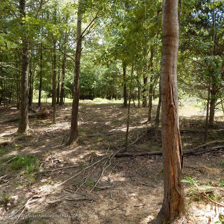 900 New Garden Road Coldwater, MS 38618 - Photo 23 of 40 Gallery Image 23