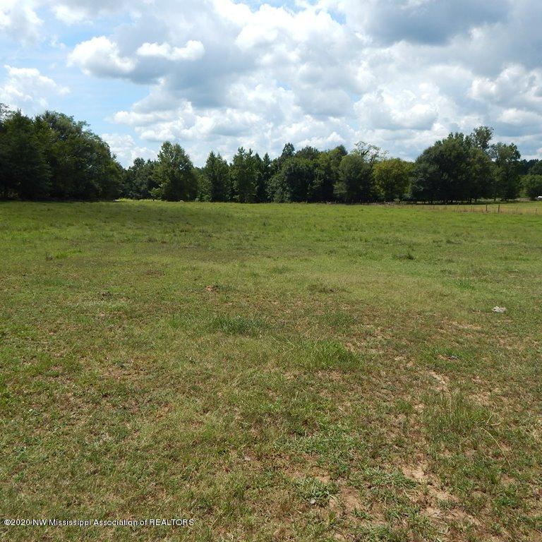 900 New Garden Road Coldwater, MS 38618 - Photo 31 of 40 Gallery Image 31
