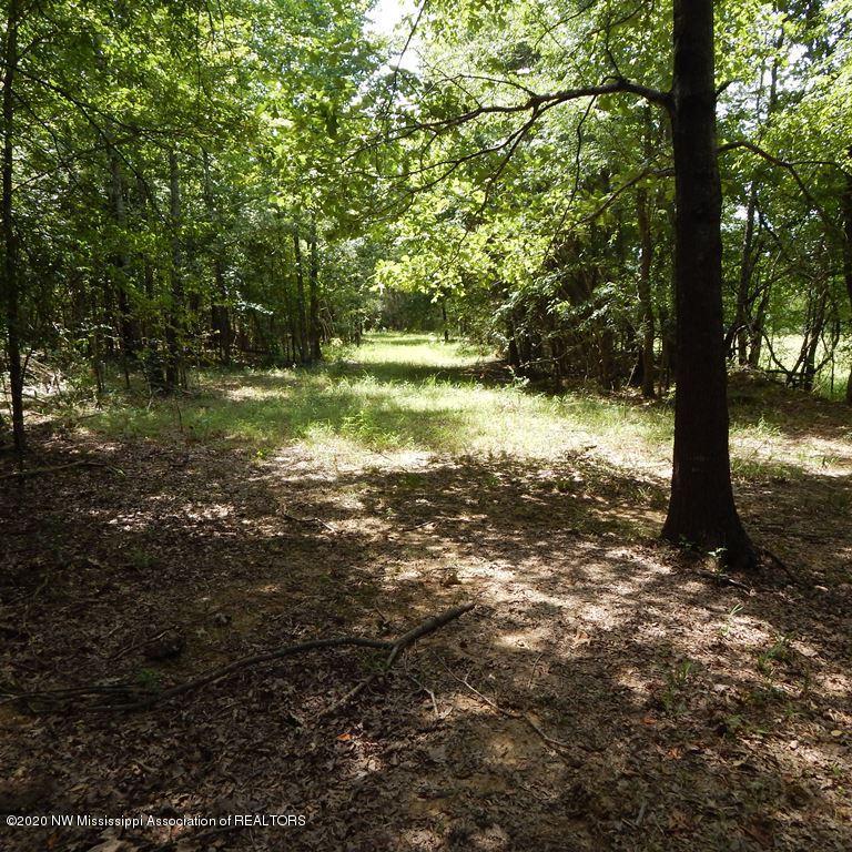 900 New Garden Road Coldwater, MS 38618 - Photo 33 of 40 Gallery Image 33