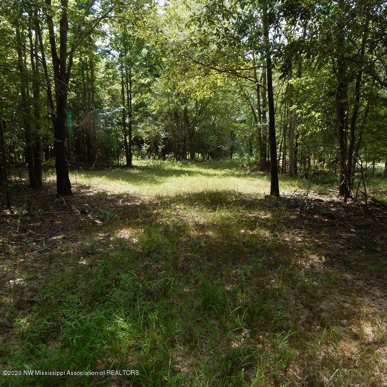900 New Garden Road Coldwater, MS 38618 - Photo 34 of 40 Gallery Image 34