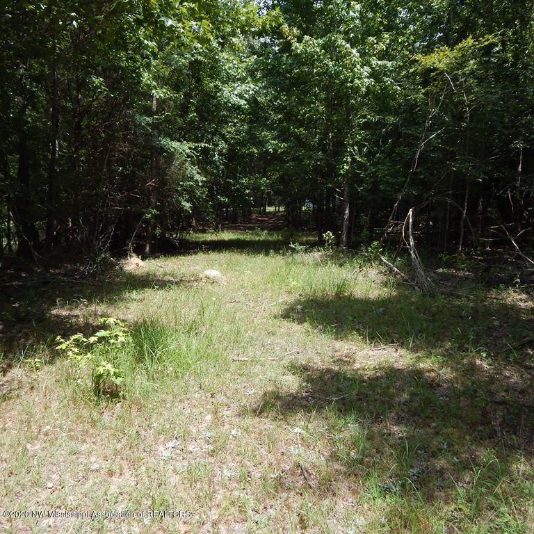 900 New Garden Road Coldwater, MS 38618 - Photo 35 of 40 Gallery Image 35