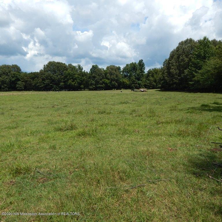 900 New Garden Road Coldwater, MS 38618 - Photo 36 of 40 Gallery Image 36
