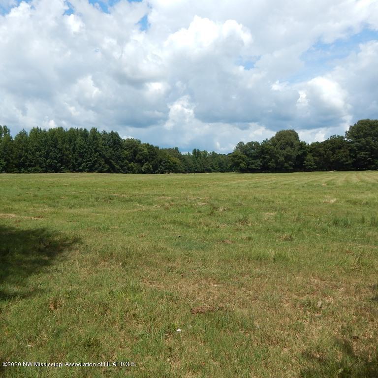 900 New Garden Road Coldwater, MS 38618 - Photo 38 of 40 Gallery Image 38
