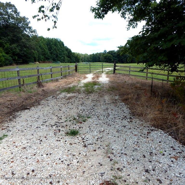 900 New Garden Road Coldwater, MS 38618 - Photo 8 of 40 Gallery Image 8