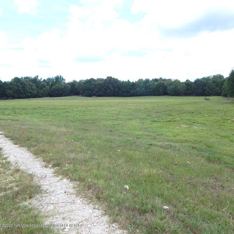 900 New Garden Road Coldwater, MS 38618 - Photo 9 of 40 Gallery Image 9