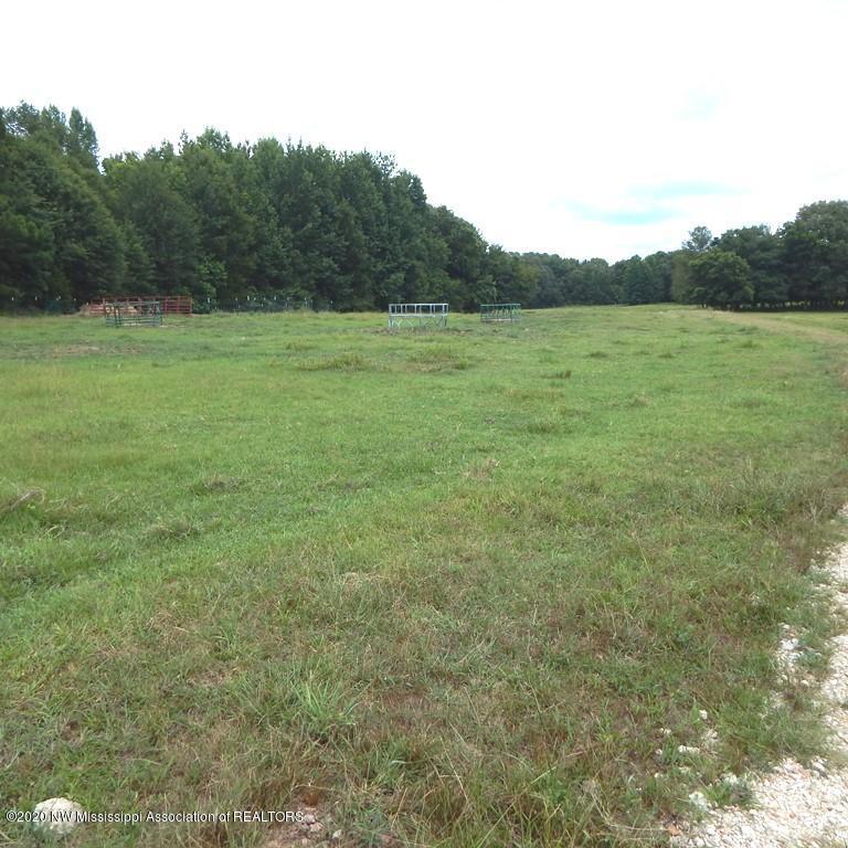 900 New Garden Road Coldwater, MS 38618 - Photo 10 of 40 Gallery Image 10
