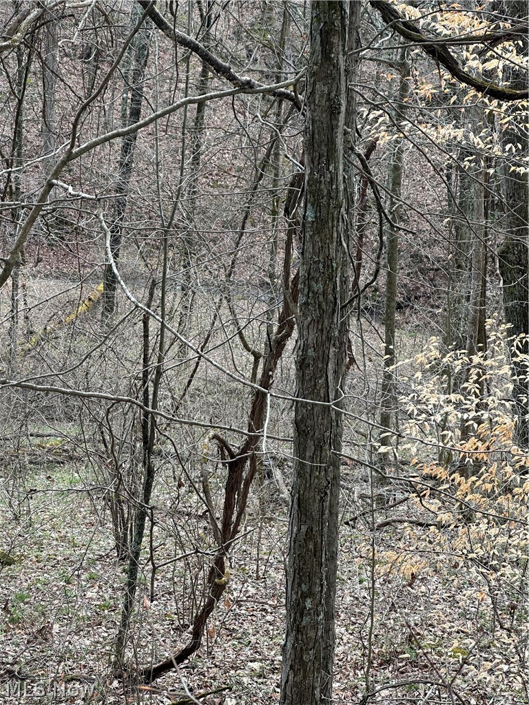 44800 Jim Stimpert Road Lewisville, OH 43754 - Photo 21 of 49 Stream