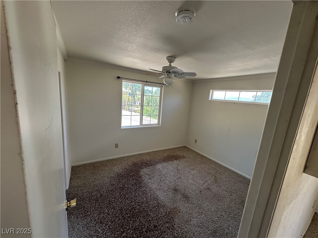 336 Hoffman Street Pioche, NV 89043 - Photo 13 of 36