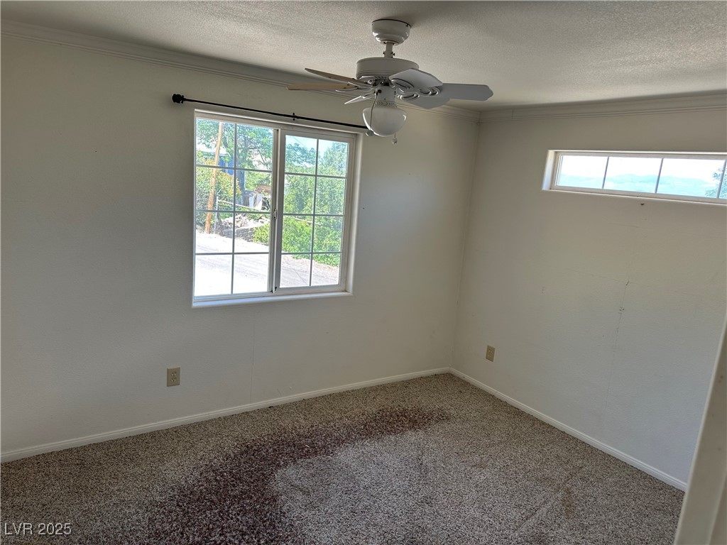 336 Hoffman Street Pioche, NV 89043 - Photo 14 of 36 Carpeted spare room featuring a textured ceiling, a ceiling fan, and crown molding