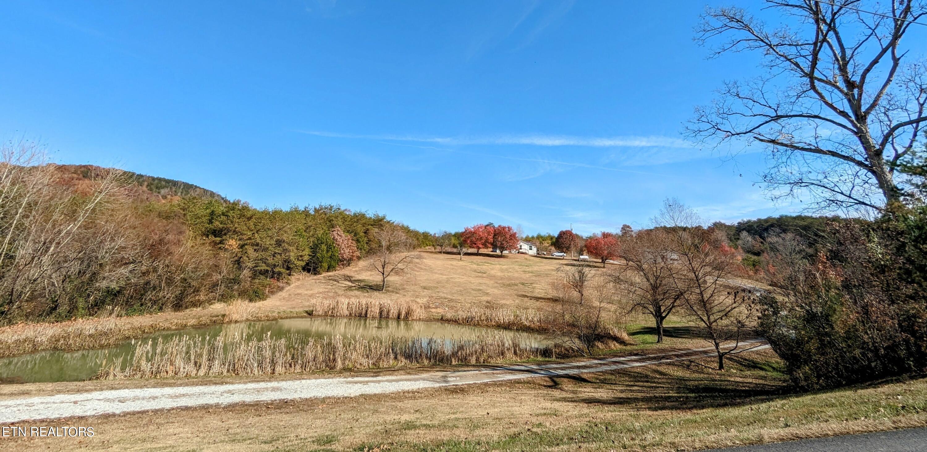 768 Deep Springs Cemetery Road Dandridge, TN 37725 - Photo 23 of 43 PXL_20231111_170031879~2