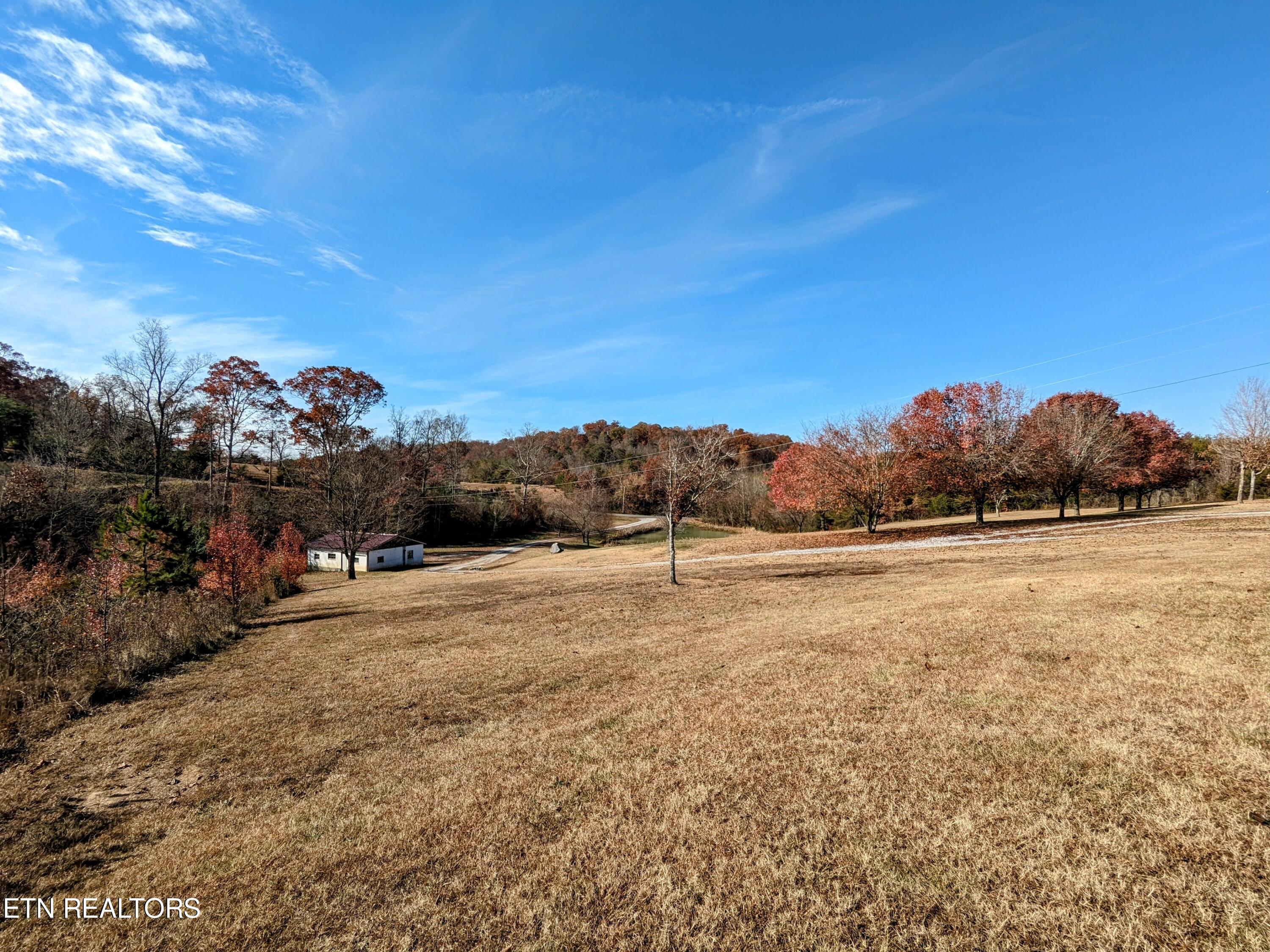 768 Deep Springs Cemetery Road Dandridge, TN 37725 - Photo 31 of 43 PXL_20231111_165416206~2