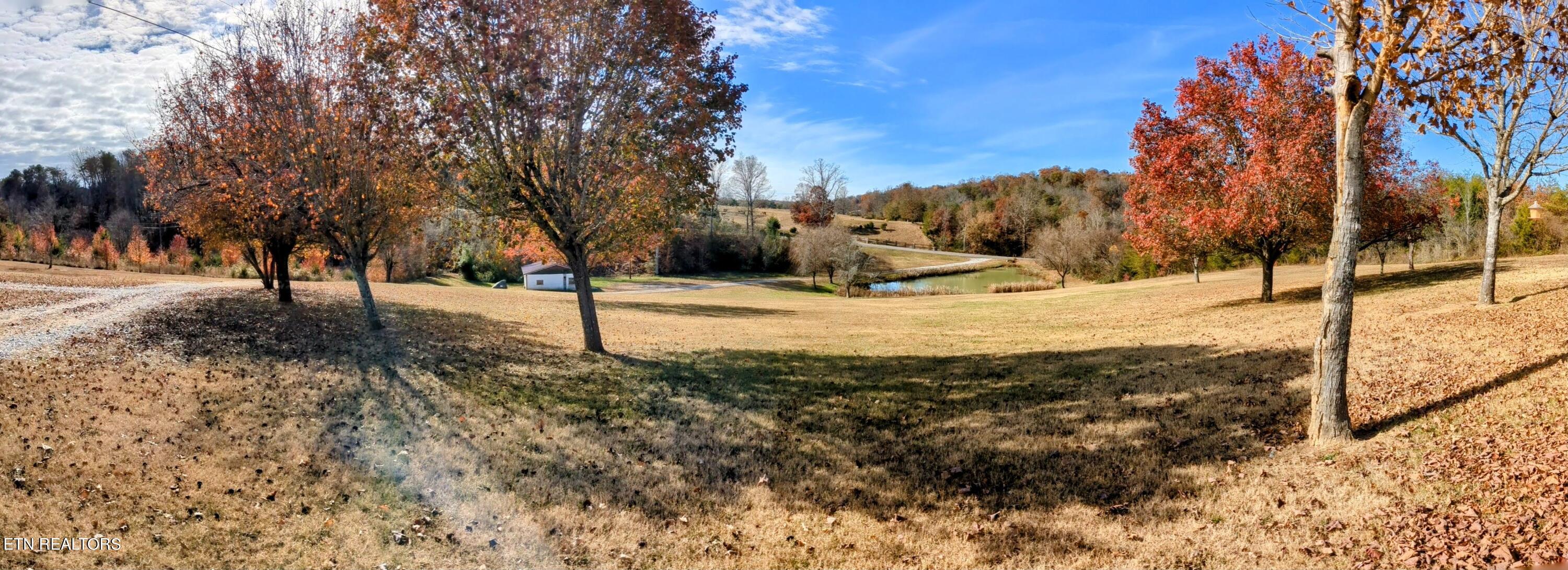 768 Deep Springs Cemetery Road Dandridge, TN 37725 - Photo 34 of 43 PXL_20231111_165145747.PANO~2