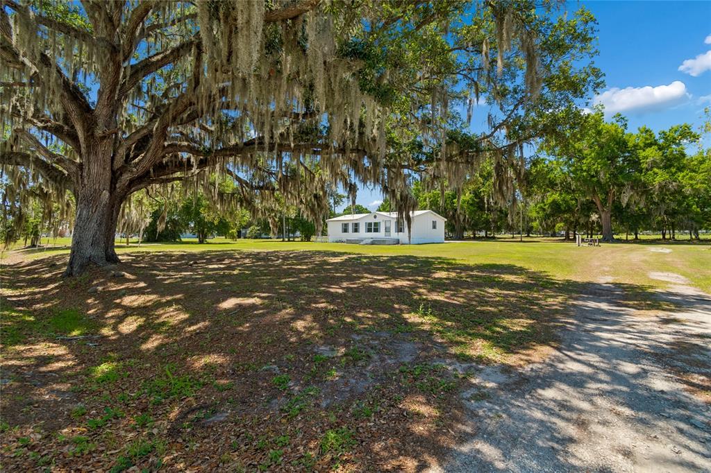 1710 Cowart Road Plant City, FL 33567 - Photo 45 of 53
