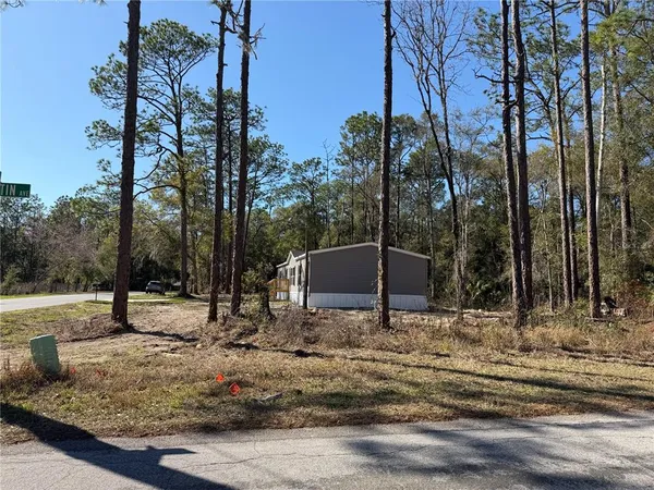 a backyard of a house with lots of trees