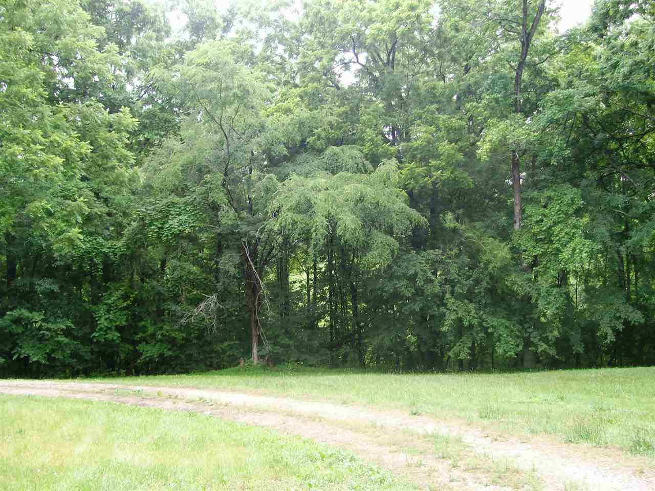 389 Mabry Mill Road Henderson, NC 27537 - Photo 10 of 11 Photo 10