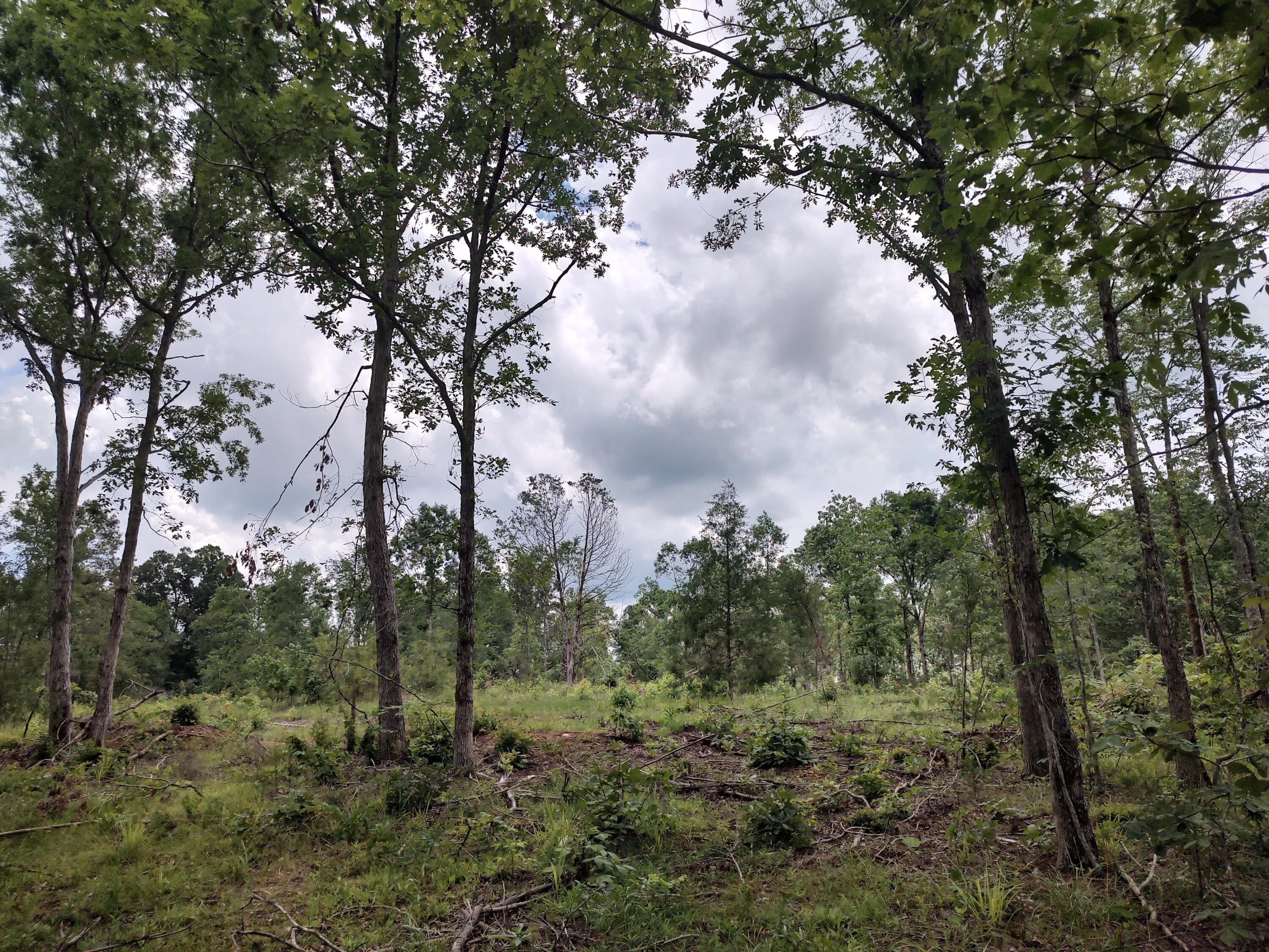 576 Red Hill Road Edgefield, SC 29824 - Photo 21 of 30