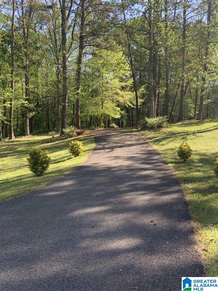 3975 Duck Springs Road Attalla, AL 35954 - Photo 27 of 30