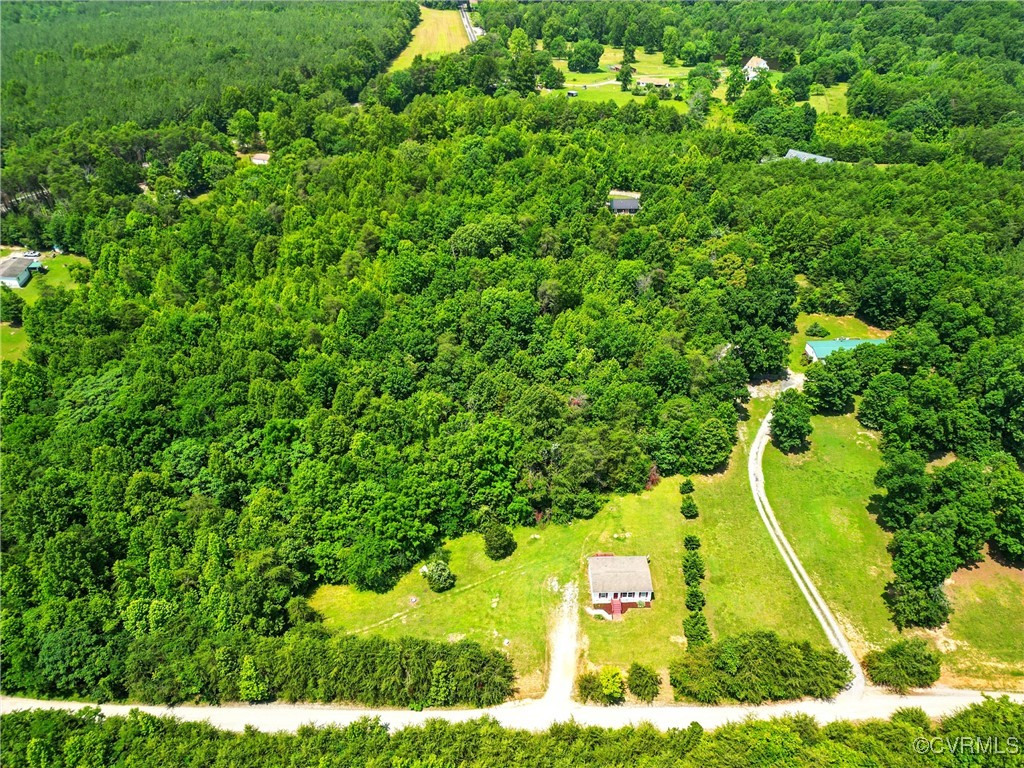 141 Sheppards Drive Farmville, VA 23901 - Photo 22 of 31 a view of a yard with plants