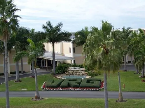 a view of a garden with palm trees