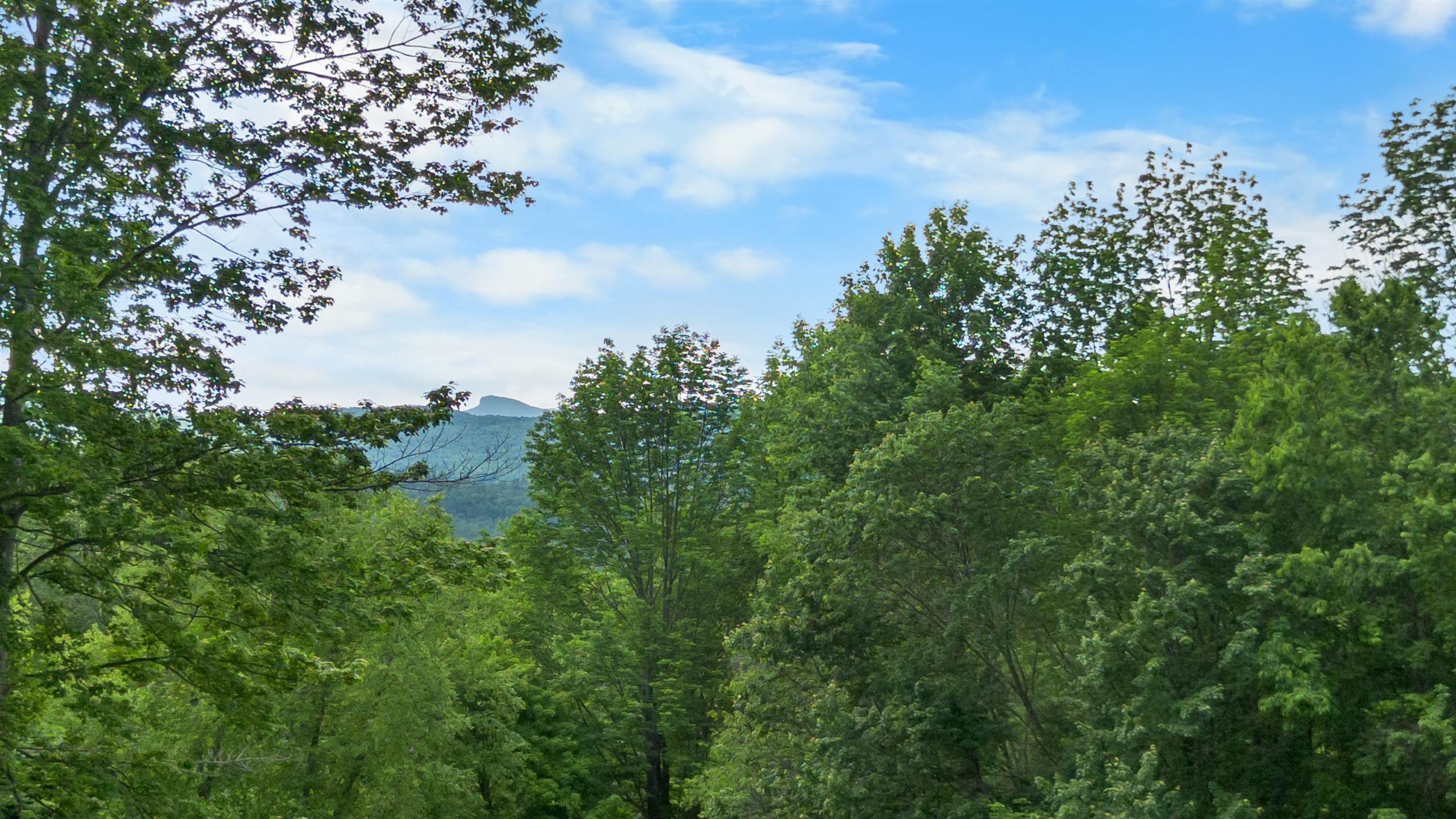 1397 Cobb Hill Road Moretown, VT 05676 - Photo 50 of 60