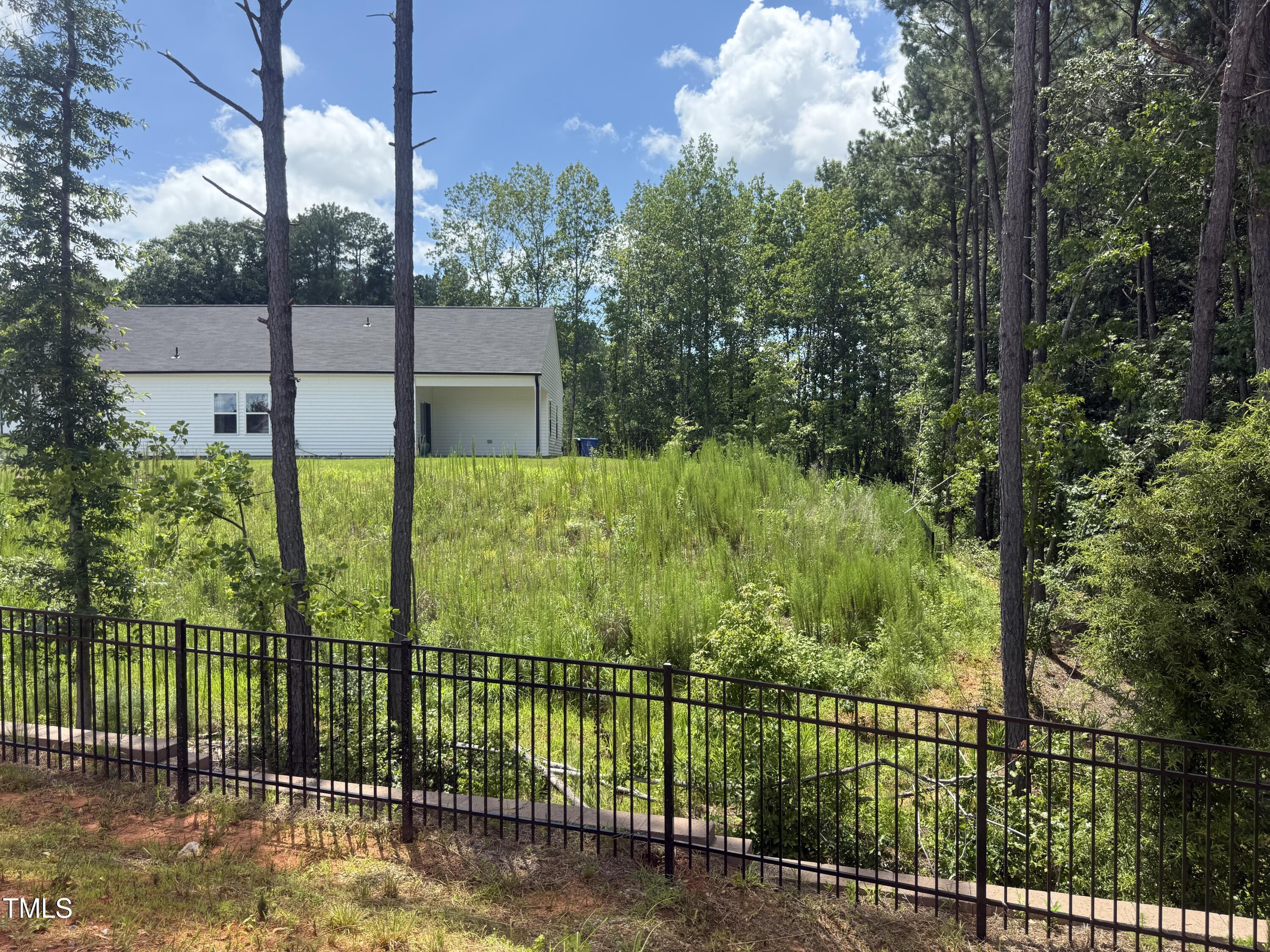 11185 Salers Loop Middlesex, NC 27557 - Photo 20 of 41 a view of a backyard