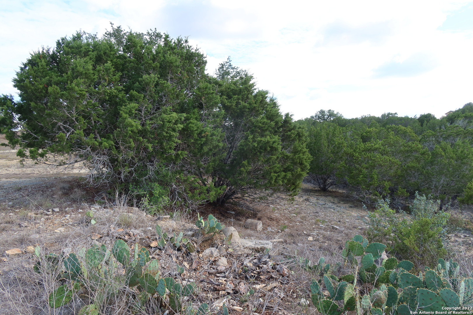Tbd Little Sorrel Way Bandera, TX 78003 - Photo 3 of 12 a view of a yard with a tree