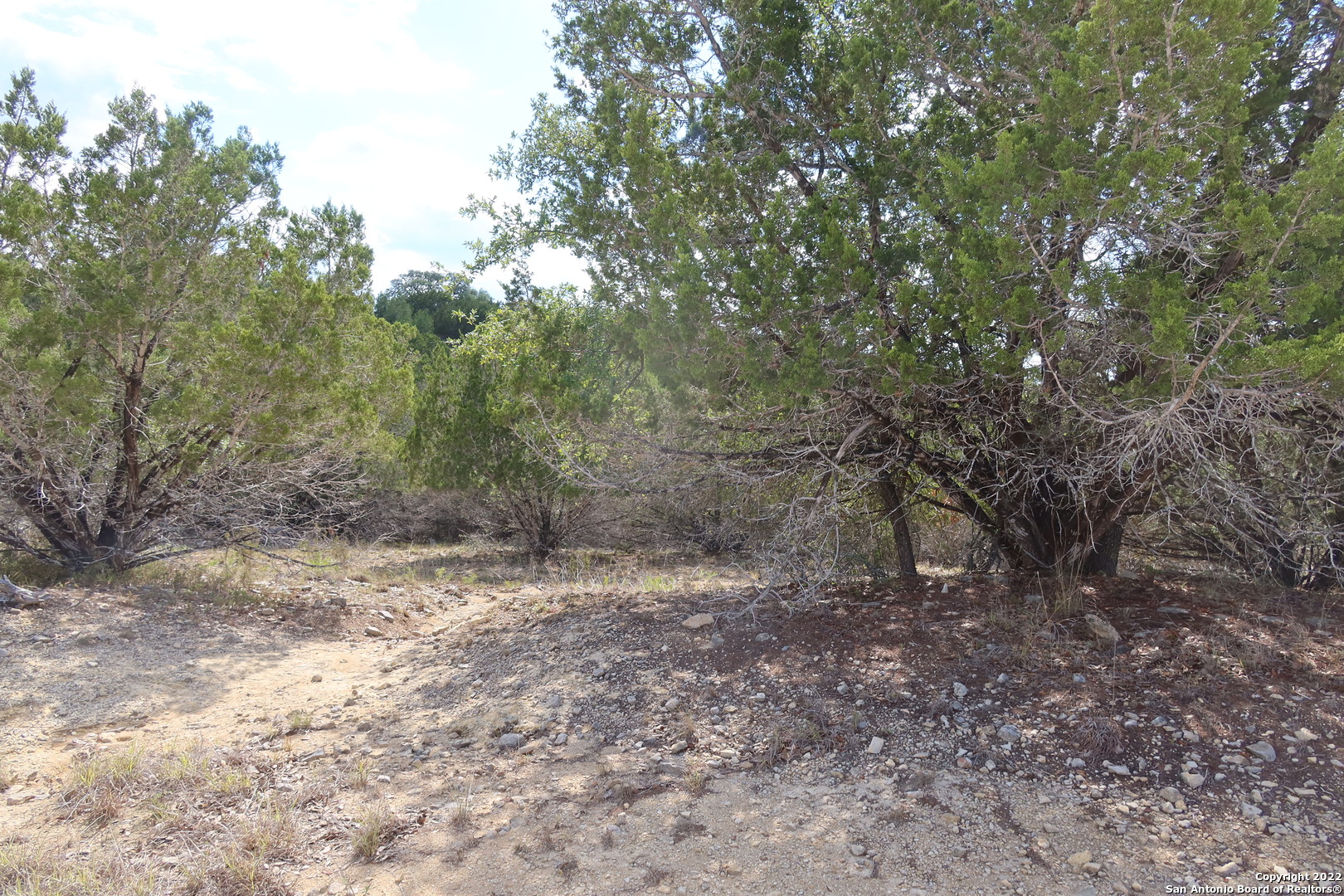 Tbd Little Sorrel Way Bandera, TX 78003 - Photo 7 of 12 a view of a forest with trees in the background
