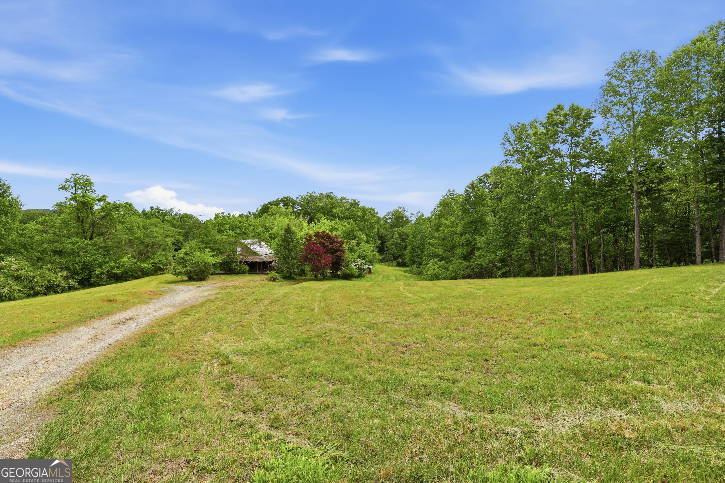 2558 Stonepile Road Clarkesville, GA 30523 - Photo 14 of 26